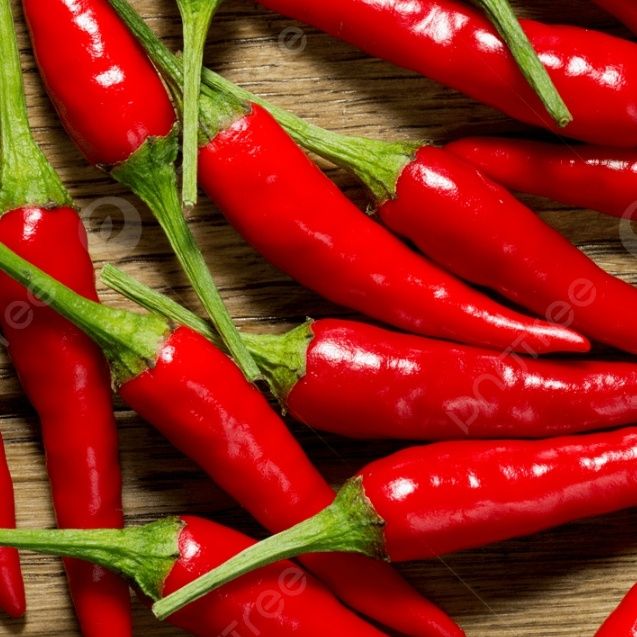 18560a60 259c 4855 b4cc 4363ba114265